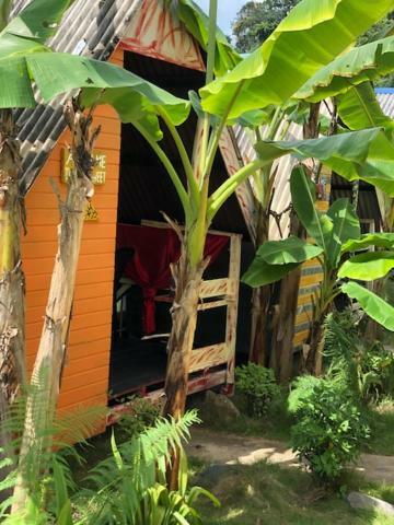 Beach Shack Chalet - Garden View Aframe Small Unit Kampong Juara Kültér fotó